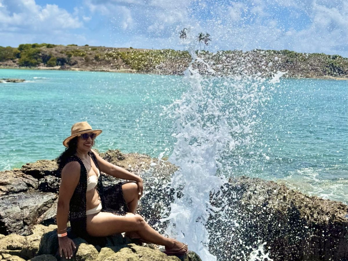 Ilha de Santo Aleixo foto 1